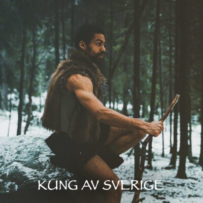 Konvolut_Kung av Sverige