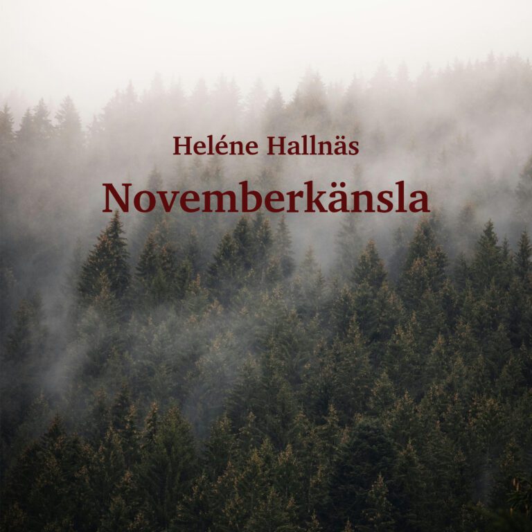 Heléne Hallnäs – Konvolut – Novemberkänsla